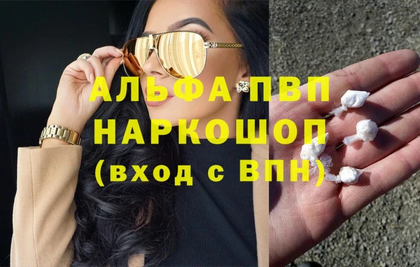 молекула духа Няндома