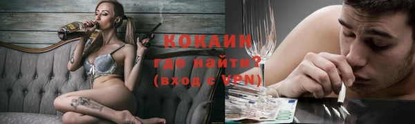 молекула духа Няндома