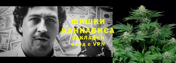 PSILOCYBIN Алексин