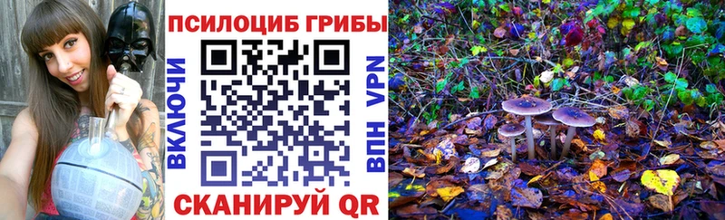 Галлюциногенные грибы мухоморы  кракен tor  Ртищево 